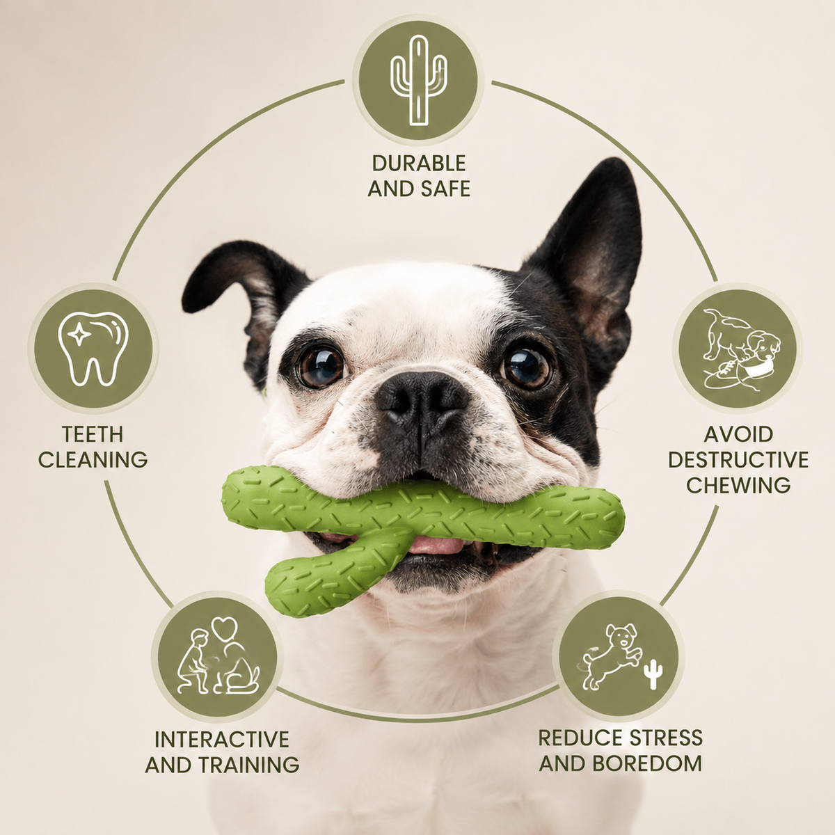 Elunavico®Cactus Dog Chew Toy